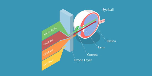 Diagram of how UV rays penetrate the Ozone layer and enter the eye.